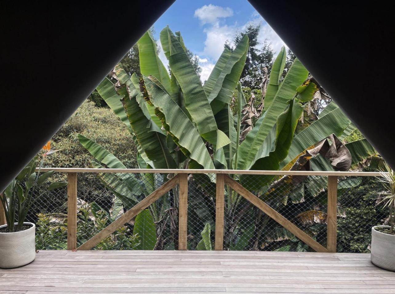 מלון ריונגרו Teva Glamping & Retreat חדר תמונה